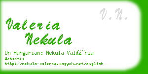 valeria nekula business card